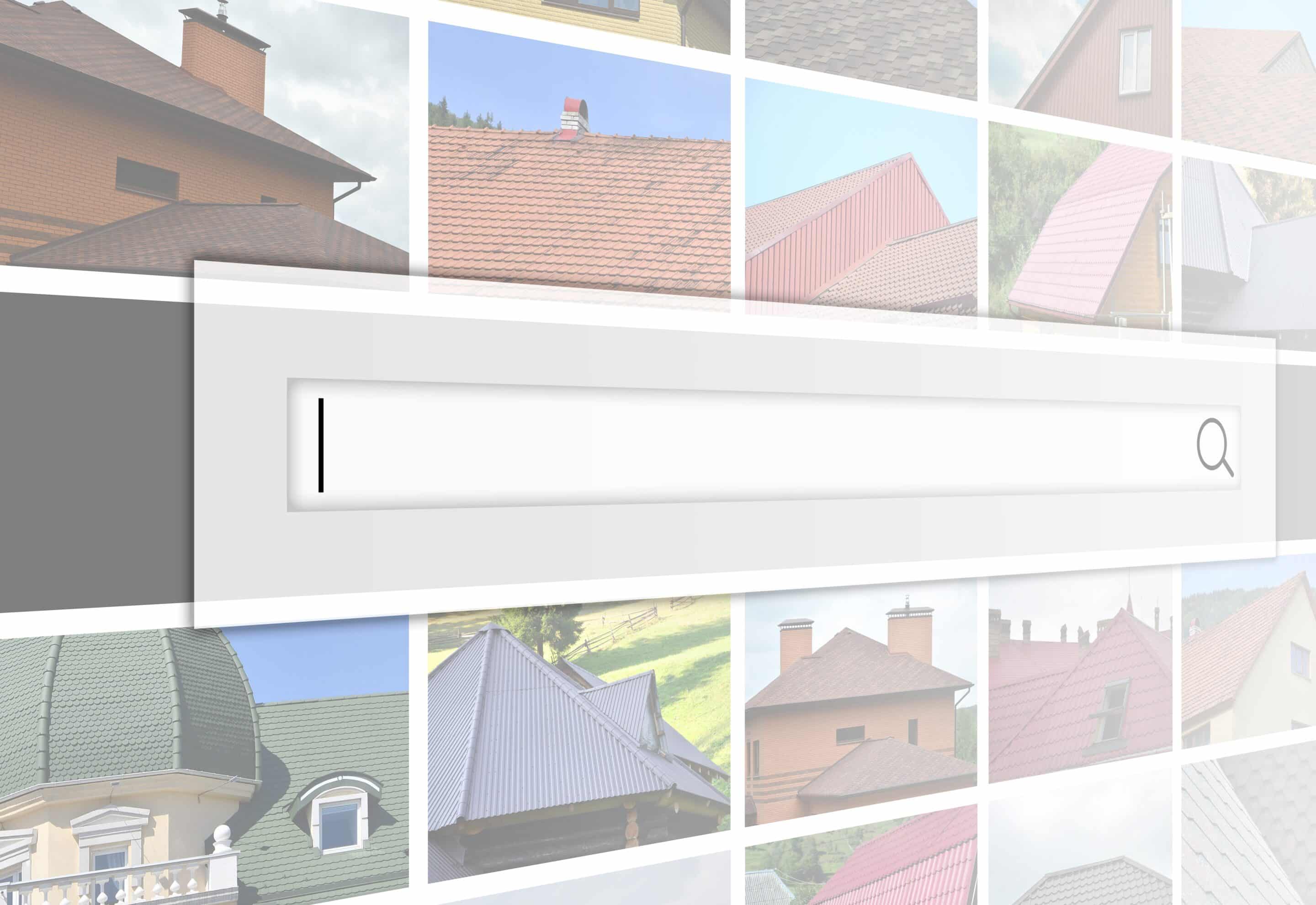 Search Bar